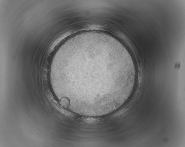 X0000110890827200907301540