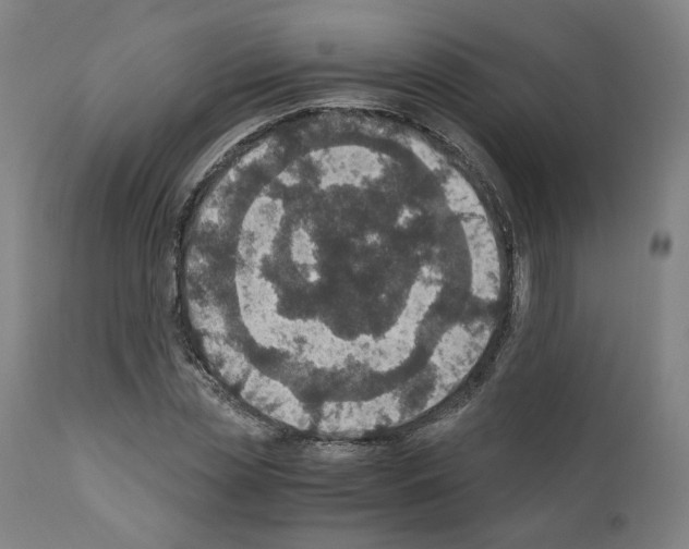 X0000110890829200907301540