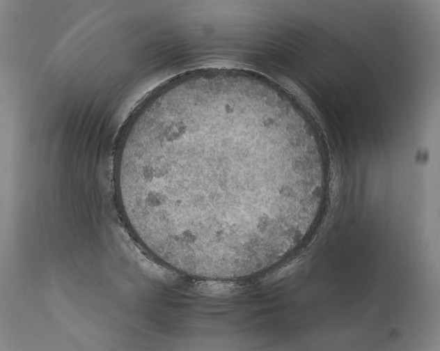 X0000110890831200907301540