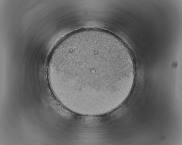 X0000110890832200907301540