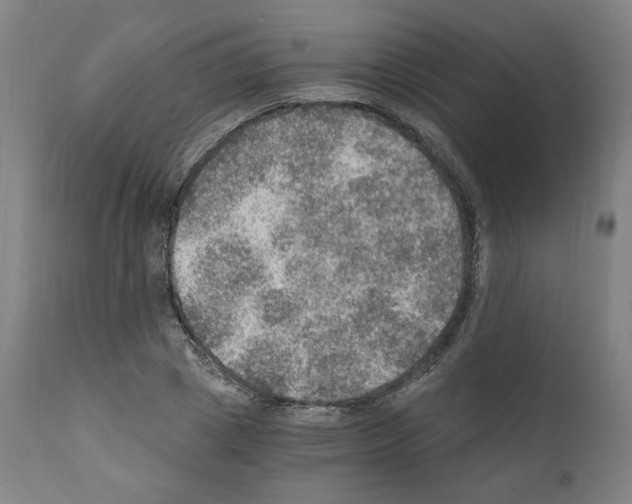 X0000110890833200907301540