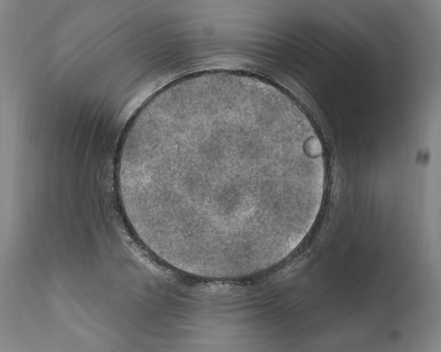X0000110890834200907301540