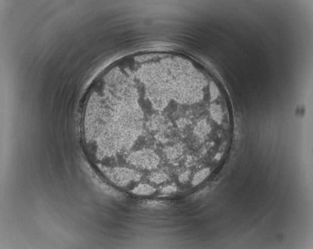 X0000110890835200907301540