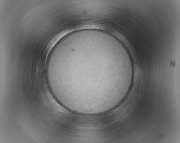 X0000110890836200907301540