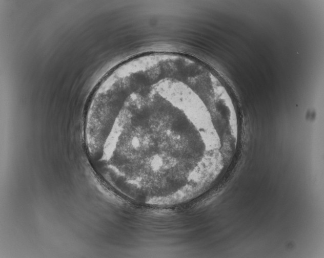 X0000110890837200907301540