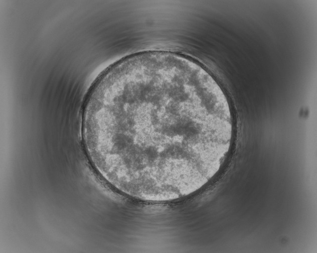 X0000110890838200907301540
