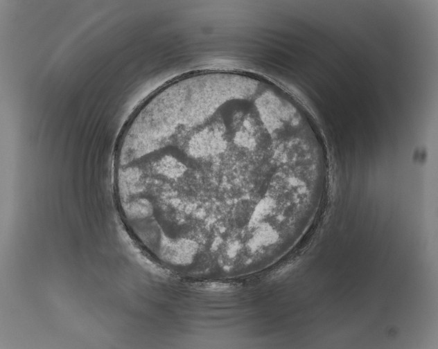 X0000110890839200907301540