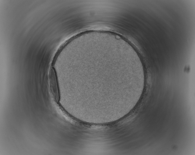 X0000110890840200907301540