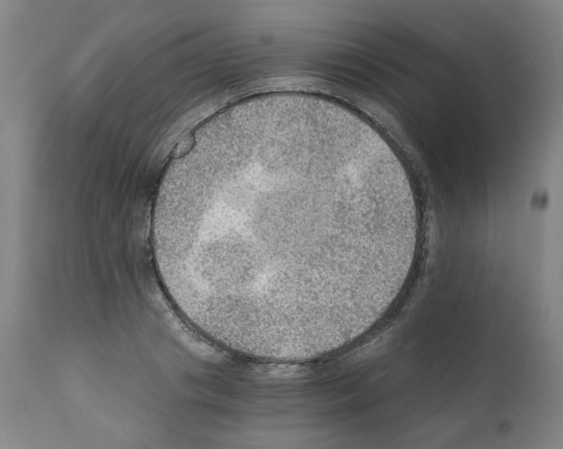 X0000110890841200907301540