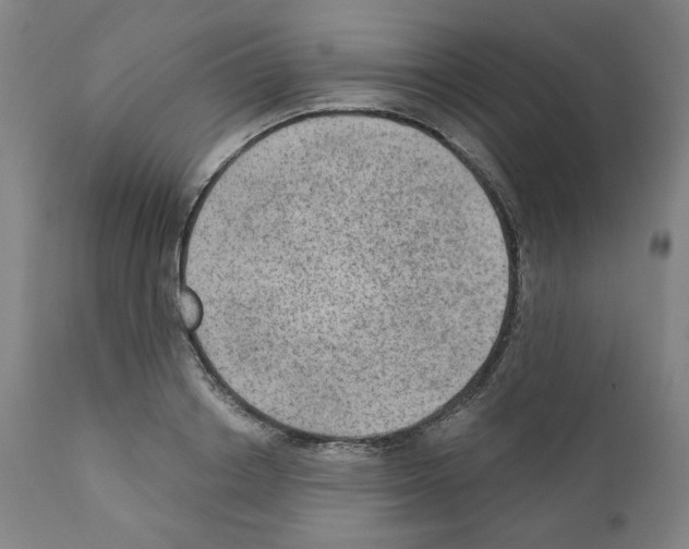 X0000110890842200907301540