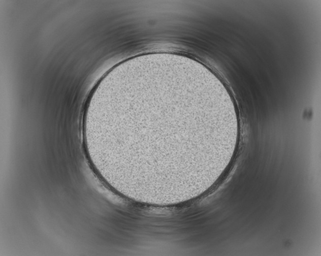 X0000110890843200907301540