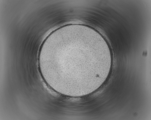 X0000110890845200907301540