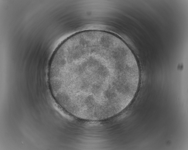X0000110890846200907301540