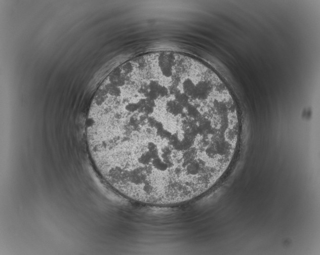 X0000110890849200907301540