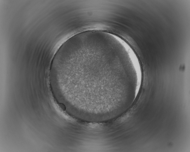X0000110890850200907301540