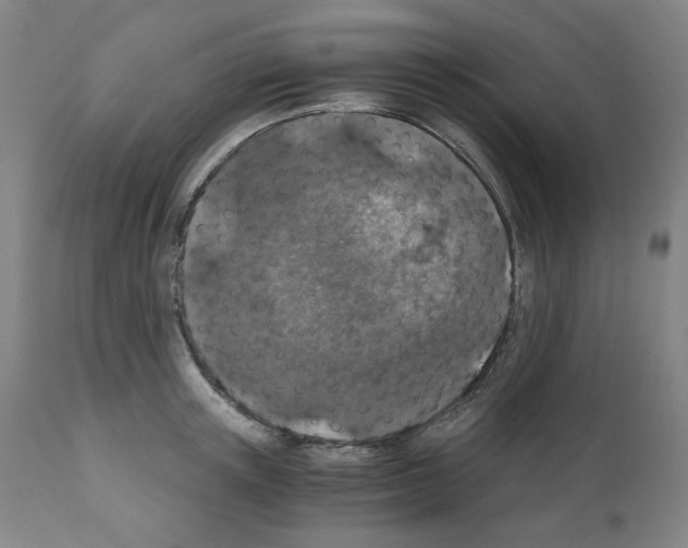 X0000110890851200907301540