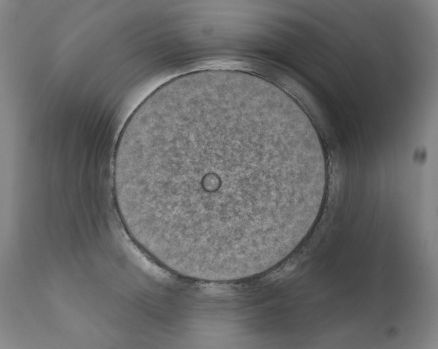 X0000110890852200907301540