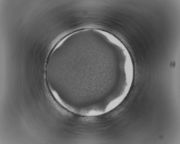 X0000110890853200907301540
