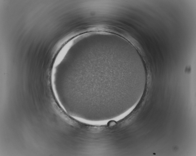 X0000110890854200907301541