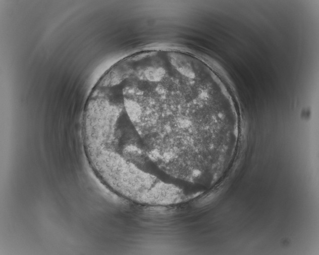 X0000110890855200907301541