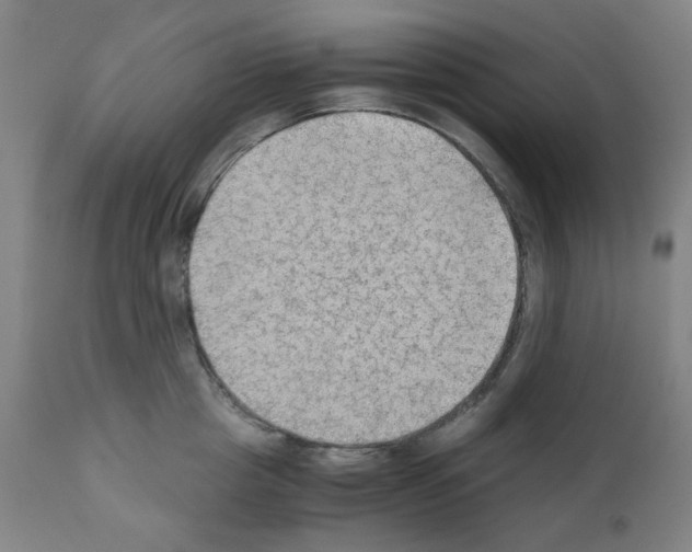 X0000110890857200907301541
