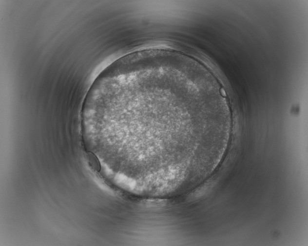 X0000110890858200907301541