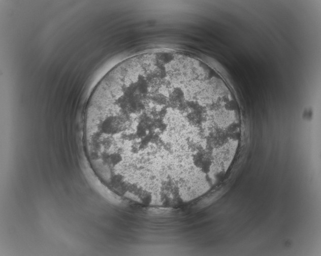 X0000110890859200907301541