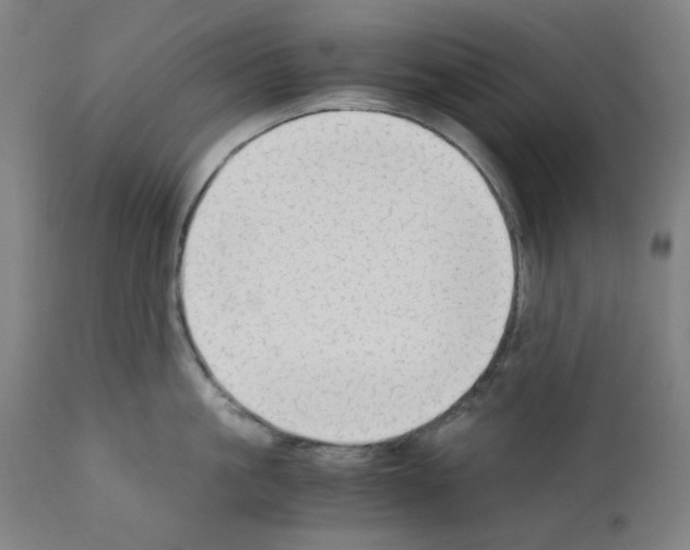 X0000110890861200907301541
