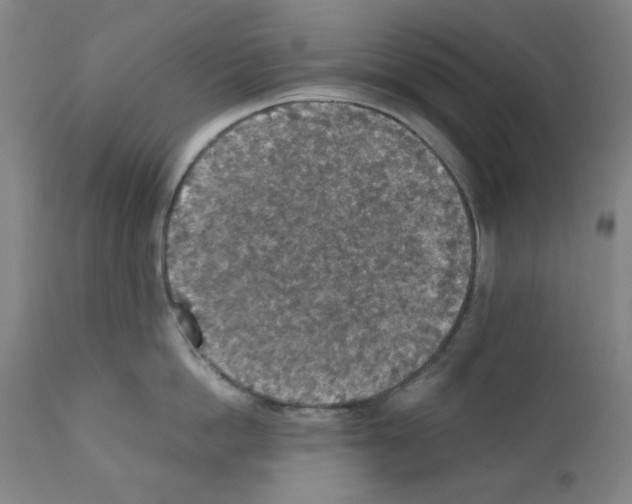 X0000110890862200907301541