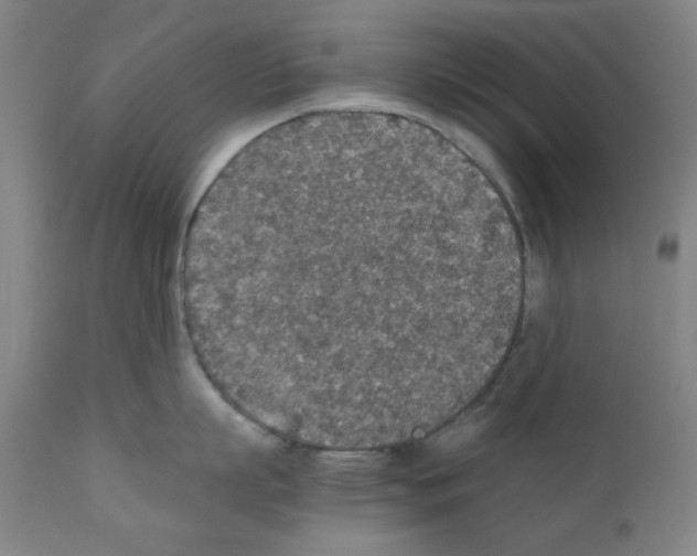 X0000110890863200907301541