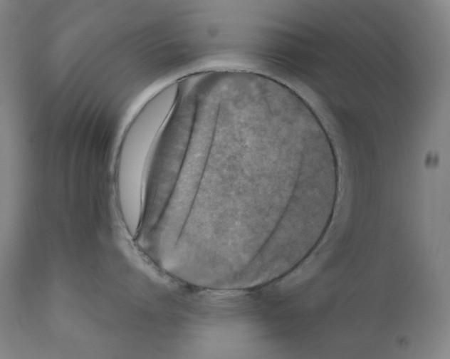X0000110890864200907301541