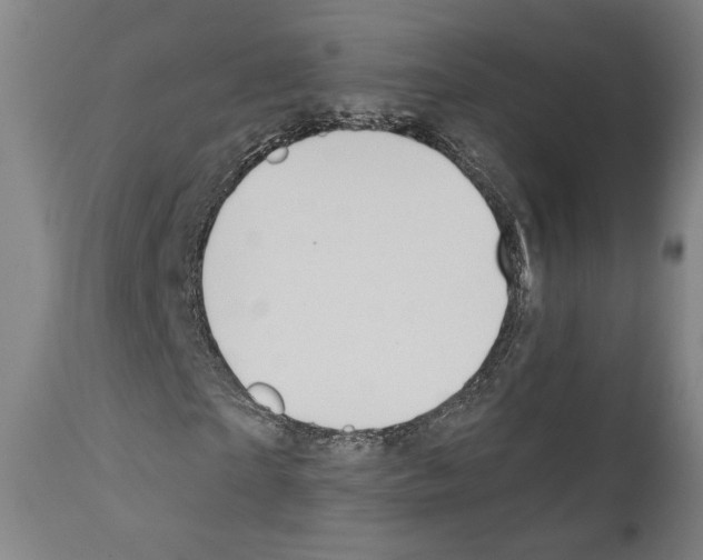 X0000110890865200907301540