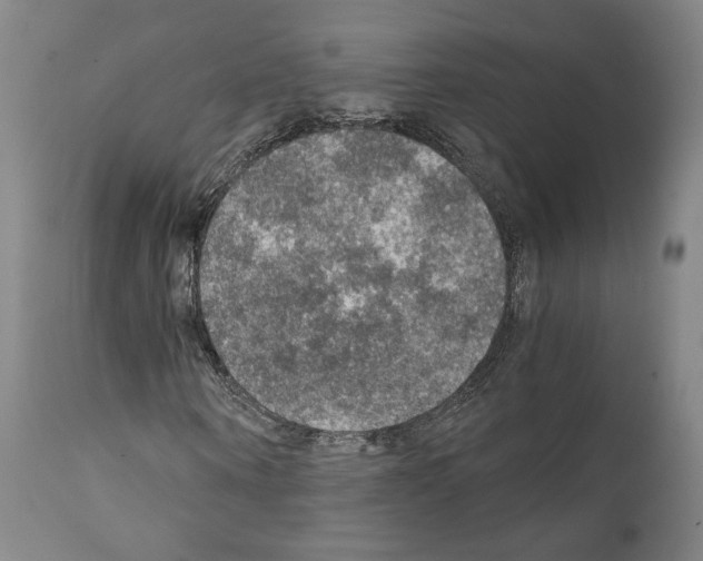 X0000110890866200907301540