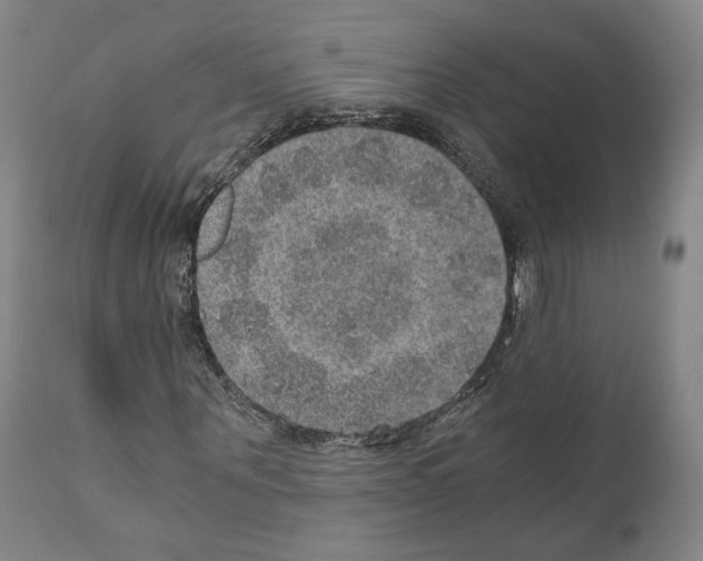 X0000110890867200907301540