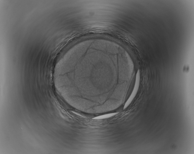 X0000110890868200907301540
