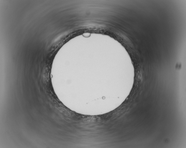 X0000110890869200907301540