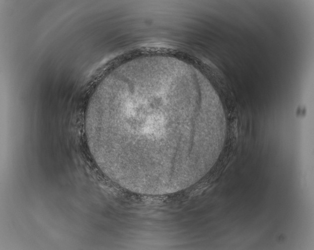 X0000110890870200907301540