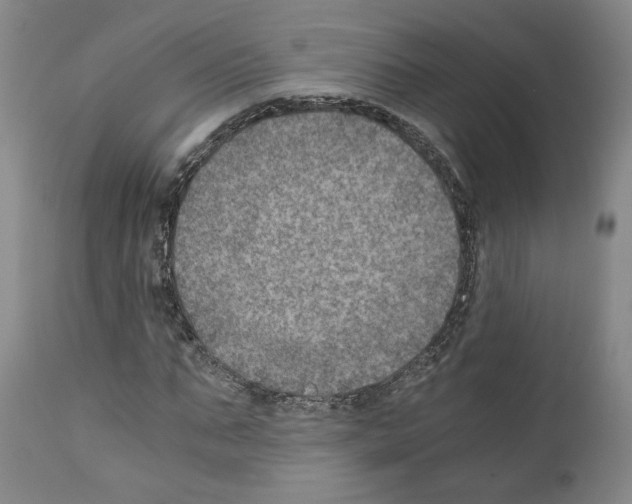 X0000110890871200907301540