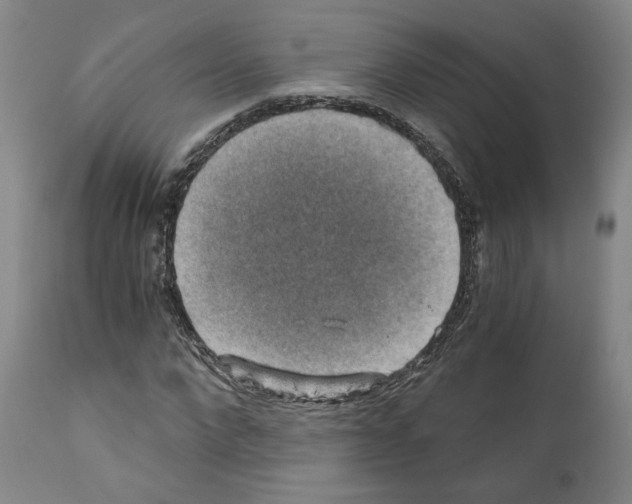 X0000110890872200907301540