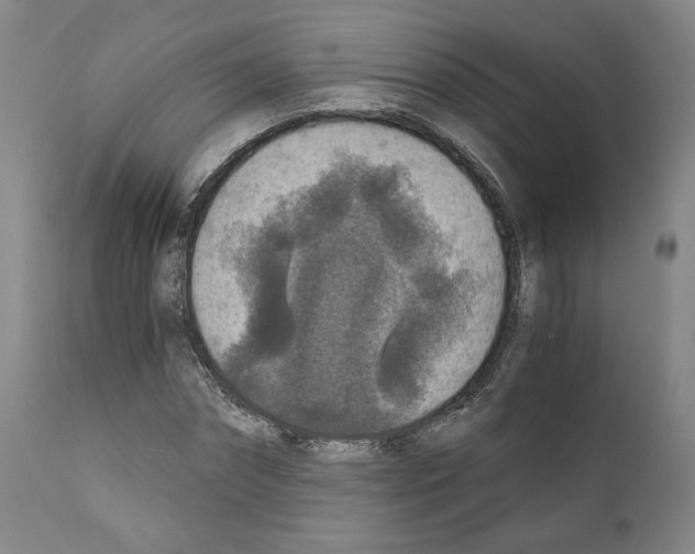 X0000110890874200907301540