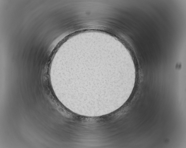 X0000110890875200907301540