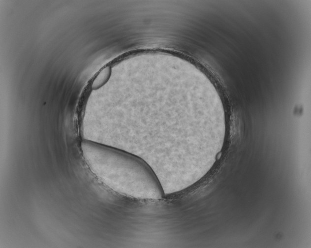 X0000110890876200907301540