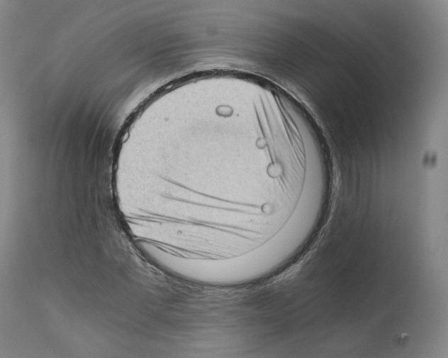 X0000110890877200907301540