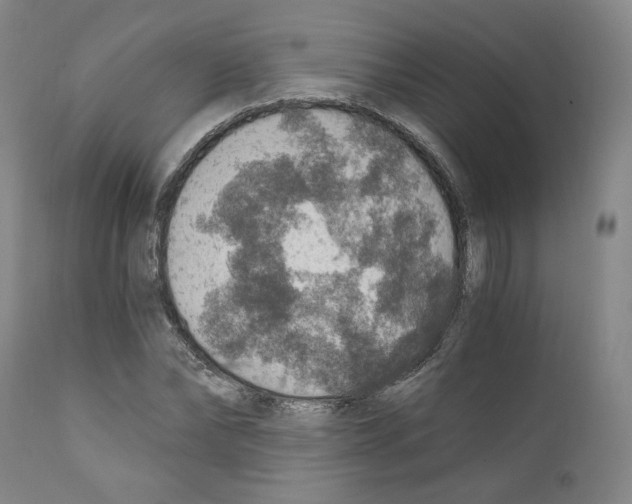 X0000110890878200907301540