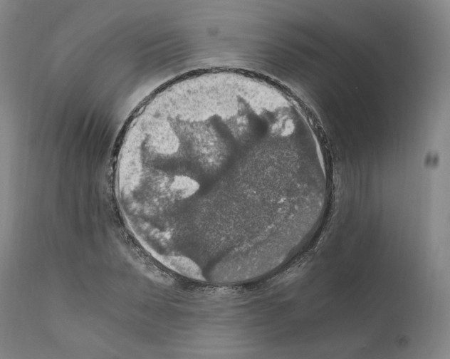 X0000110890879200907301540