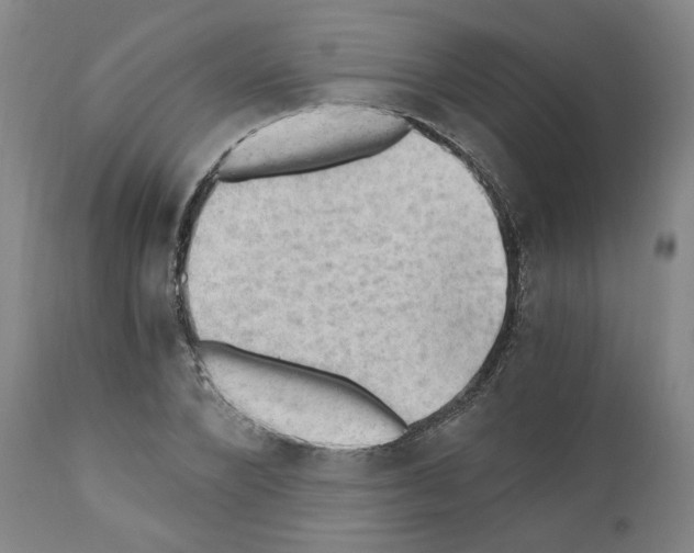 X0000110890880200907301540