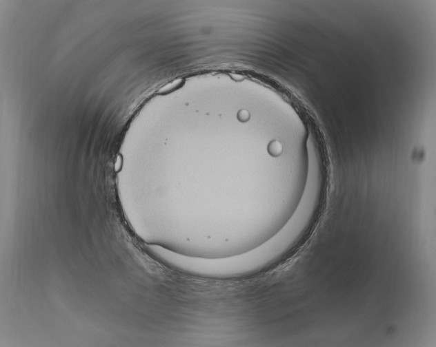 X0000110890881200907301540