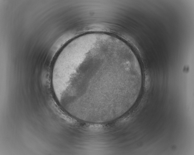 X0000110890882200907301540