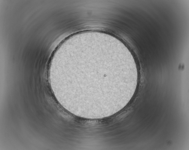 X0000110890883200907301540