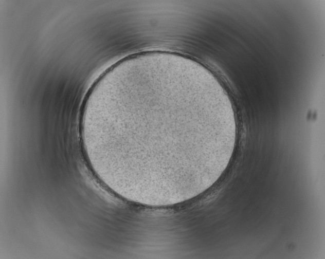 X0000110890884200907301540